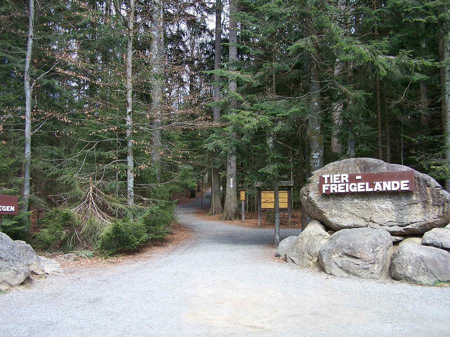 img00010.jpg